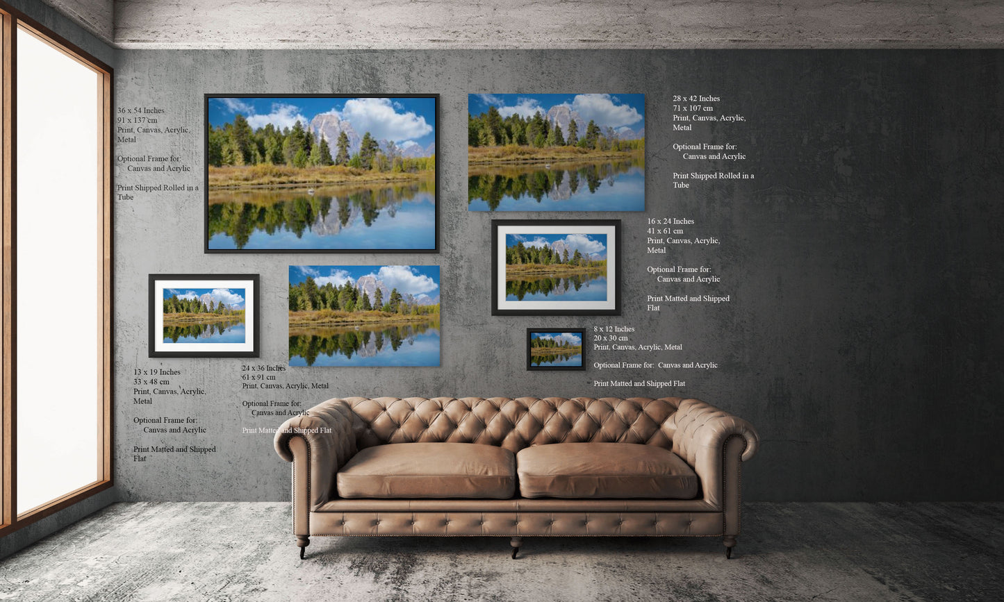 Pelican in the Water at Mount Moran -- Grand Teton National Park Landscape Photography Print