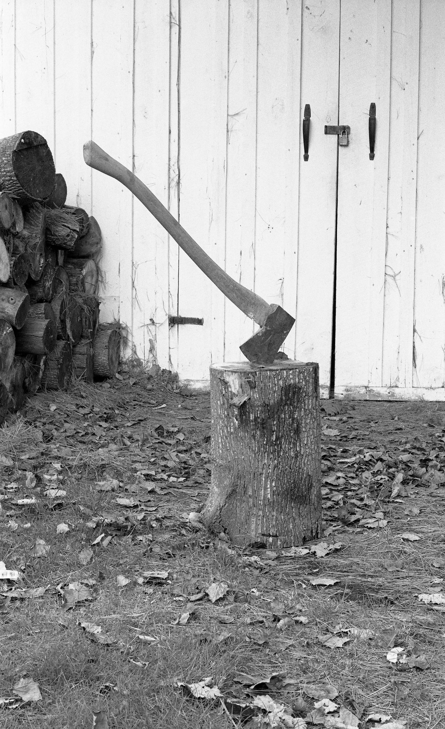 Axe in Log Still Life -- B/W