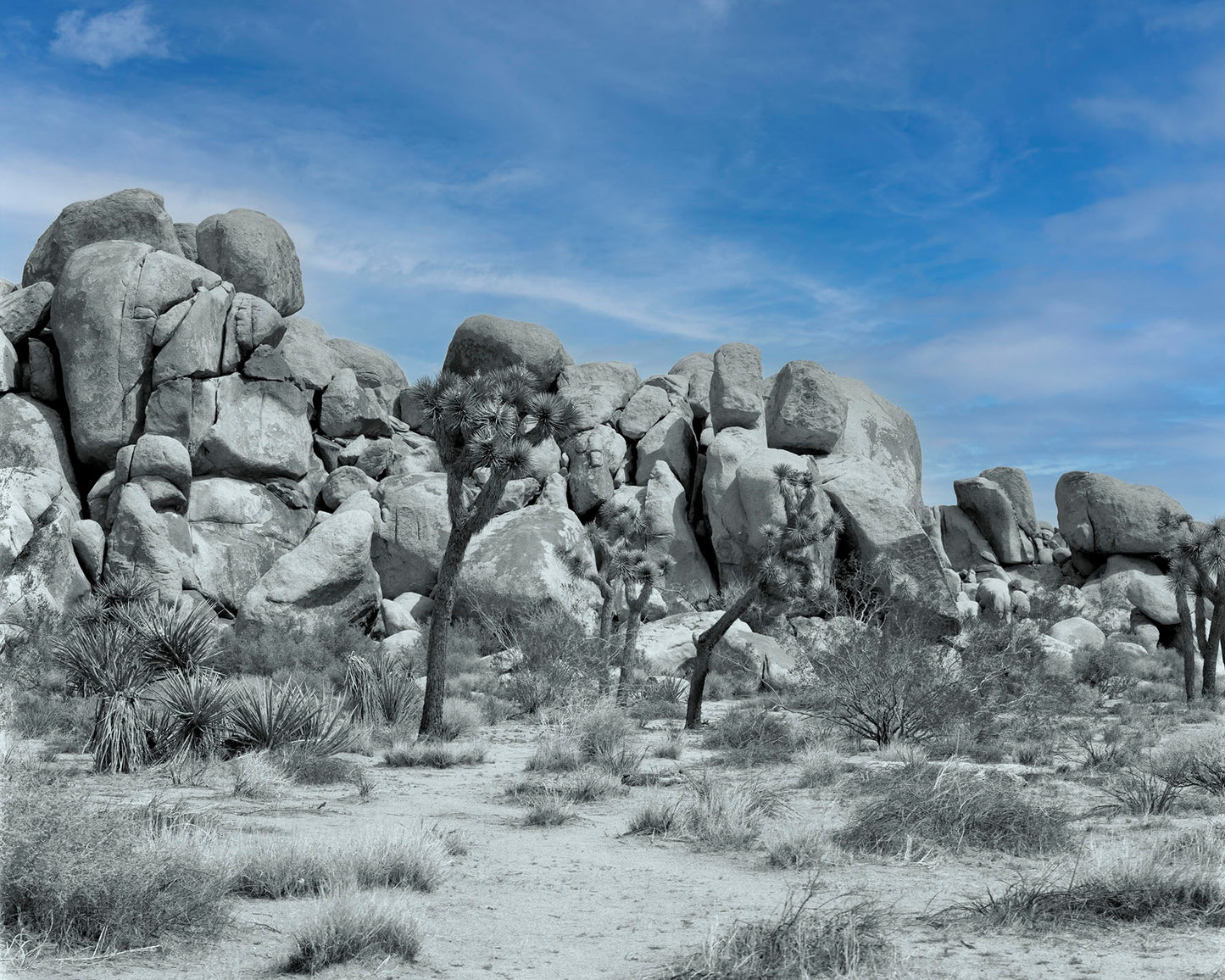 Joshua Tree National Park -- California