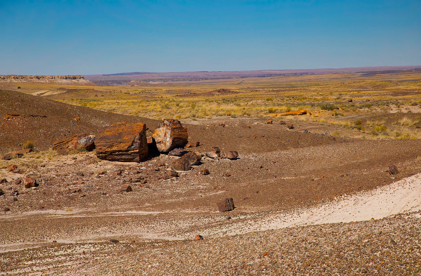 Petrified Forest NP, Arizona