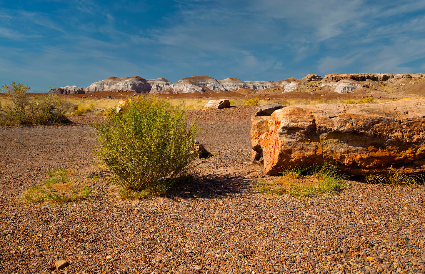 Petrified Forest National Park in Arizona -- Blue Mesa