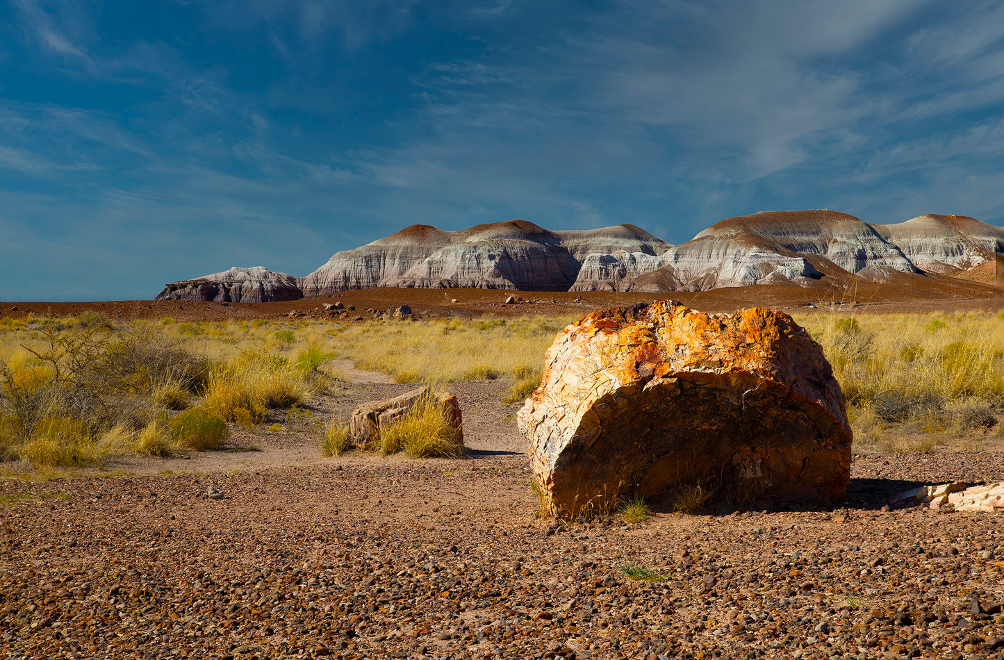 Petrified Forest National Park Arizona