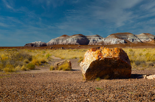 Petrified Forest National Park Arizona