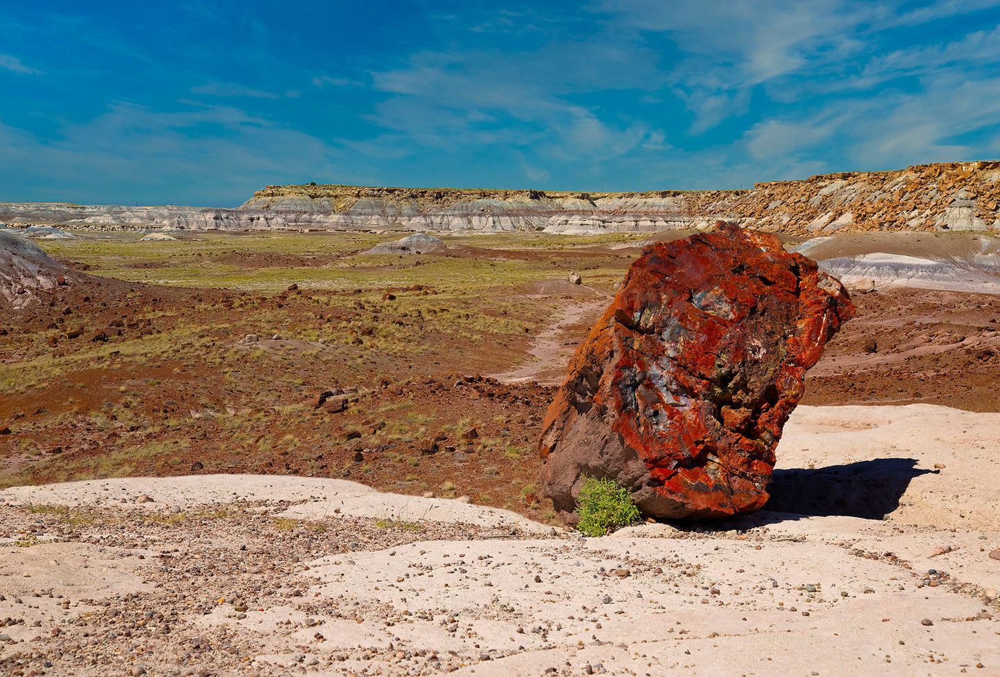 Petrified Forest National Park, Crystal Forest